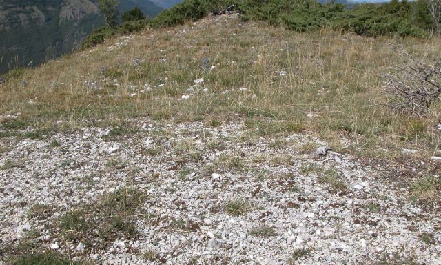 Monte Spina di Gualdo