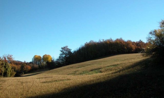 Monte San Savino