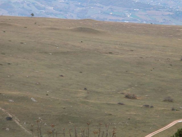 Poggio della Pagnotta