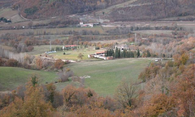 Gagliesi