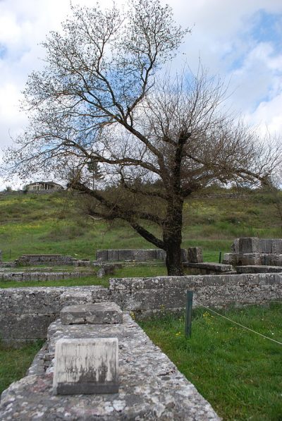 Tempio di Dodona